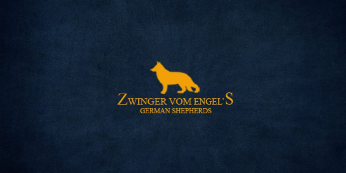 german shephard